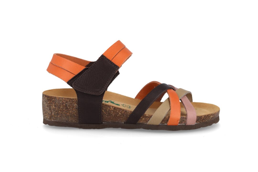 12 A 2401 I TORONTO pv